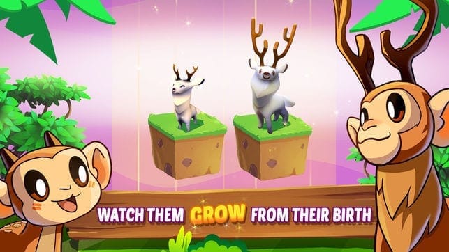 Zoo evolution game whach them grow